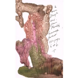 Thesaurus Sapientiae et...