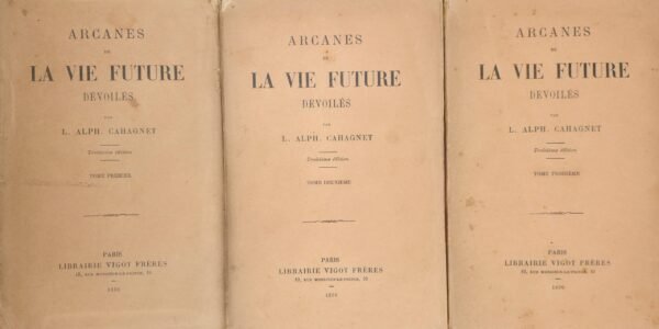Arcanes de la vie future dévoilés