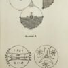 Clef Magique de La Fiction et du Fait. Introduction à la Science Nouvelle. Avant-propos d’Henri Disdier