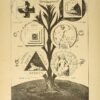 Histoire de la magie avec une exposition claire et précise de la magie, de ses procédés, de ses rites et de ses mystères