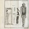 Essai sur les hiéroglyphes des Egyptiens,...