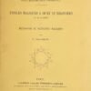 Essais de magie arithmétique polygonale