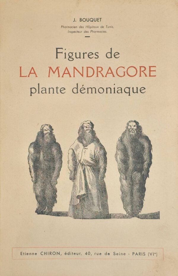Figures de la Mandragore, plante démoniaque