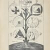 Histoire de la magie. Avec une exposition claire et précise de ses procédés de ses rites et de ses mystères