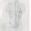 L'Acupuncture Chinoise (Thérapeutique Energétique)