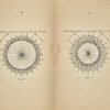 Gamme sidérale et gamme musicale. Etude Paléosophique