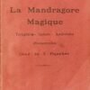 La Mandragore magique. Teraphim - Golem - Androïde – Homocules