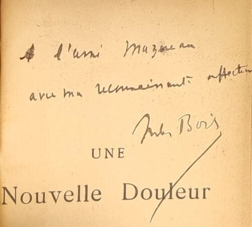 Une nouvelle douleur, roman contemporain