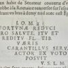 Le Réveil de Chyndonax, Prince des Vacies, Druides, Celtiques