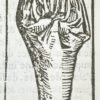 Le Réveil de Chyndonax, Prince des Vacies, Druides, Celtiques