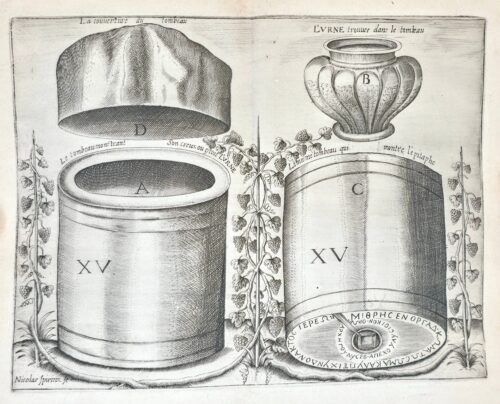 Le Réveil de Chyndonax, Prince des Vacies, Druides, Celtiques