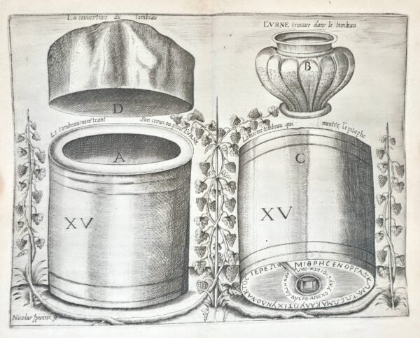 Le Réveil de Chyndonax, Prince des Vacies, Druides, Celtiques