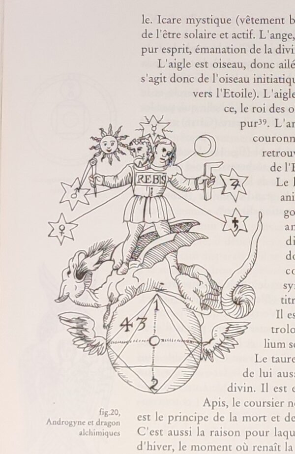 Le Tarot du Fou