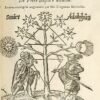 Les Douze Clefs de Philosophie de Frère Basile Valentin, ...