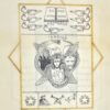 Manuscrit : Les Pouvoirs Hermétiques. Texte et arrangement symbolique
