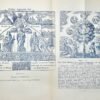 Rosa Alchemica. L’Hyperchimie. Revue mensuelle d’Hermétisme Scientifique.  Années 1902 et 1903...