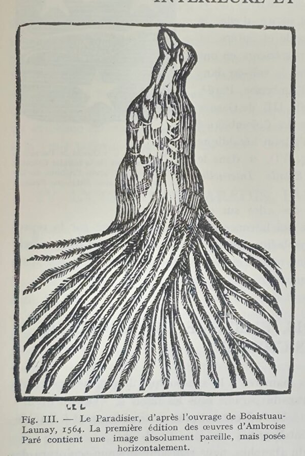 Le Bestiaire du Christ. La mystérieuse emblématique de Jésus-Christ