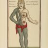 Theosophia Practica. Exemplaire du comte René PHILIPON
