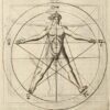 La Philosophie Occulte Divisée en trois livres et traduite du latin
