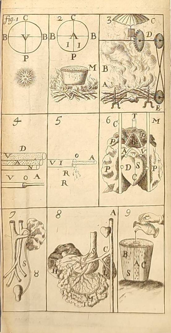 La Belle Magie, ou Science de l'Esprit, contenant les fondemens des subtilitez & des plus curieuses & secretes connoissances de ce temps. Accompagnée de figures en taille douce, & tables bien amples